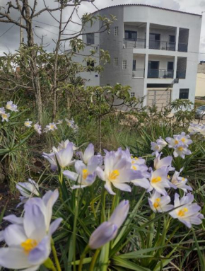 Suíte flor de cacto em São Tomé das Letras